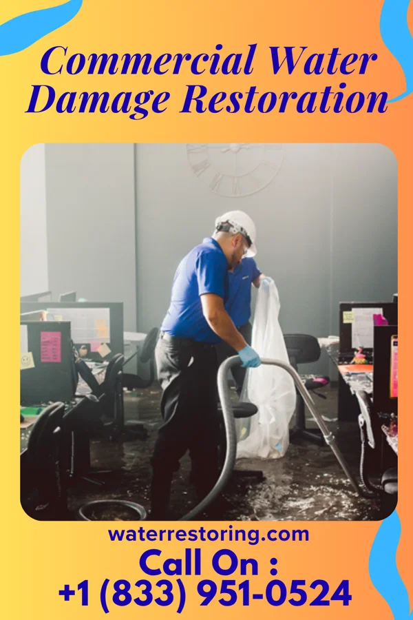 Commercial Water Damage Restoration in Robert Lee, TX
