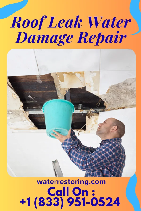 Roof Leak Water Damage Repair in Robert Lee, TX