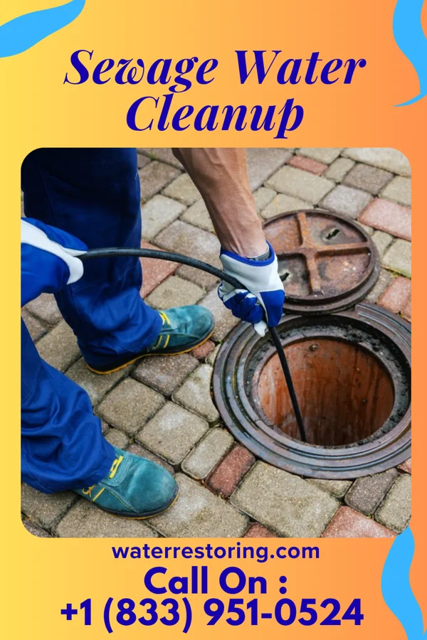 Sewage Water Cleanup in Robert Lee, TX